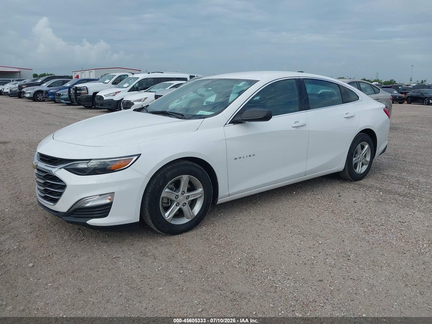 2019 Chevrolet Malibu, Звичайний знос, IAAI, VIN 1G1ZC5ST4KF196181 — фото 2