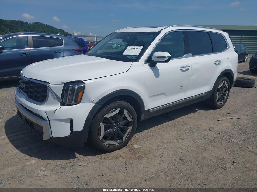 KIA TELLURIDE 2024 VIN 5XYP6DGC0RG561441