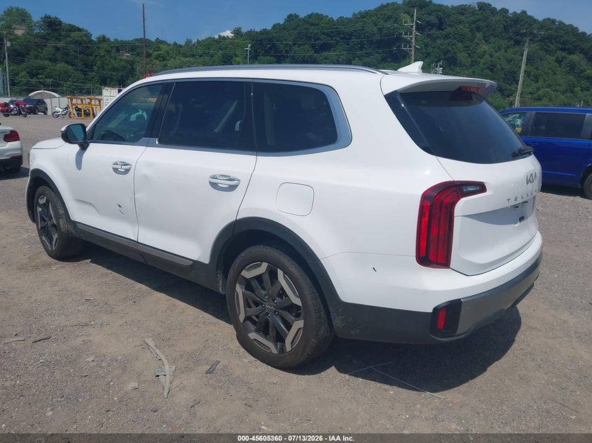 KIA TELLURIDE 2024 VIN 5XYP6DGC0RG561441