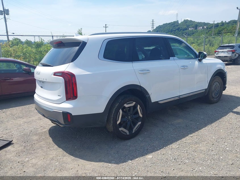 KIA TELLURIDE 2024 VIN 5XYP6DGC0RG561441
