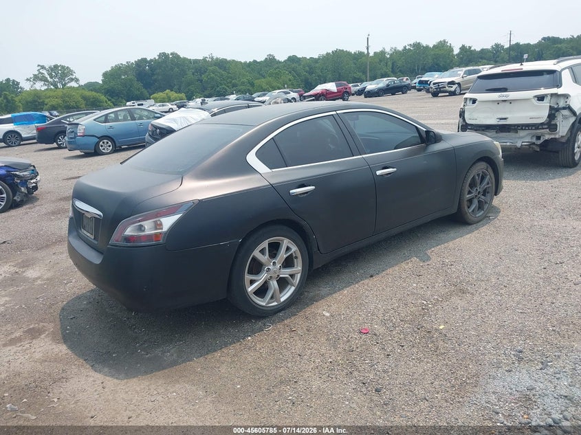 AtlanticExpress - Nissan Maxima