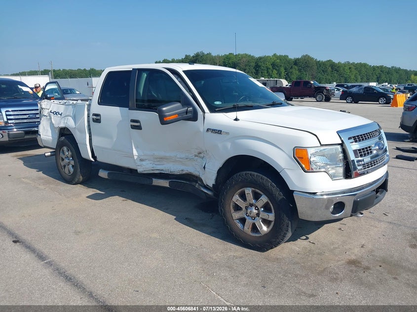 2013 FORD F-150 XLT