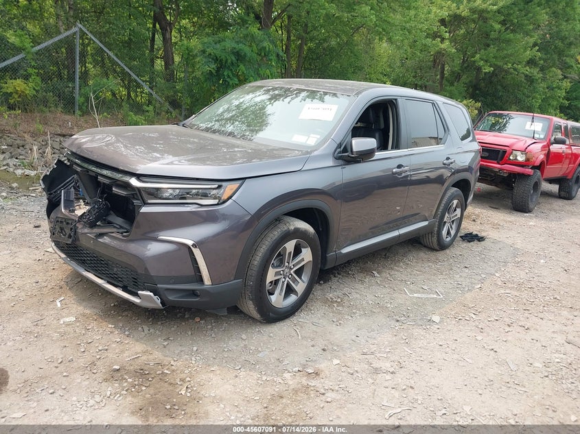 Vin: 5fnyg1h51rb033088, lot: 46105513, honda pilot ex-l 7 passenger 20242