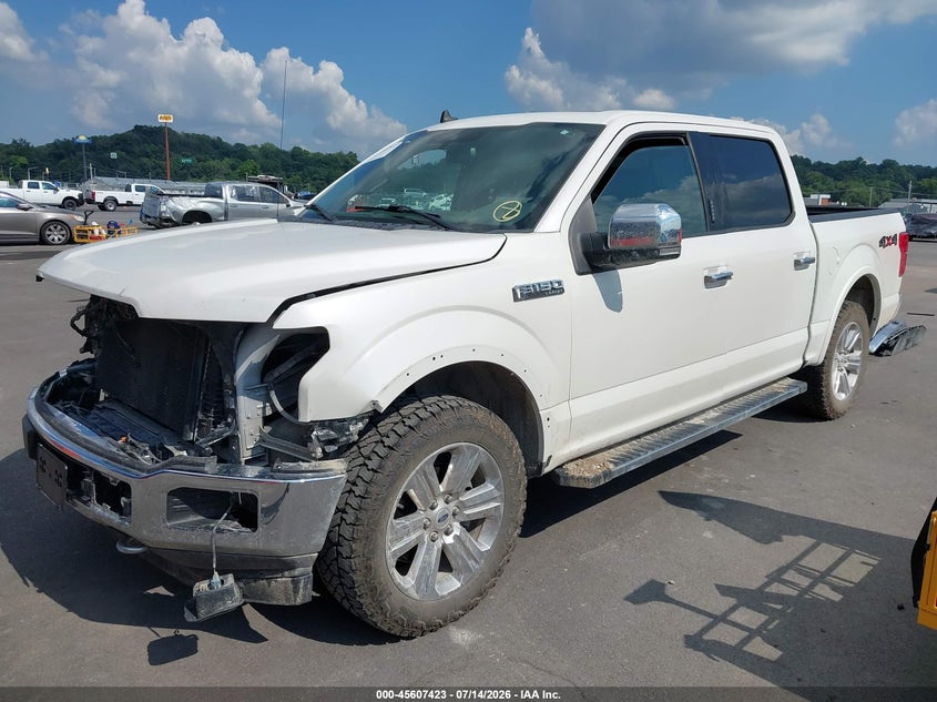 2019 Ford F-150, Удар спереди, IAAI, VIN 1FTEW1EP7KFC89703 — фото 2