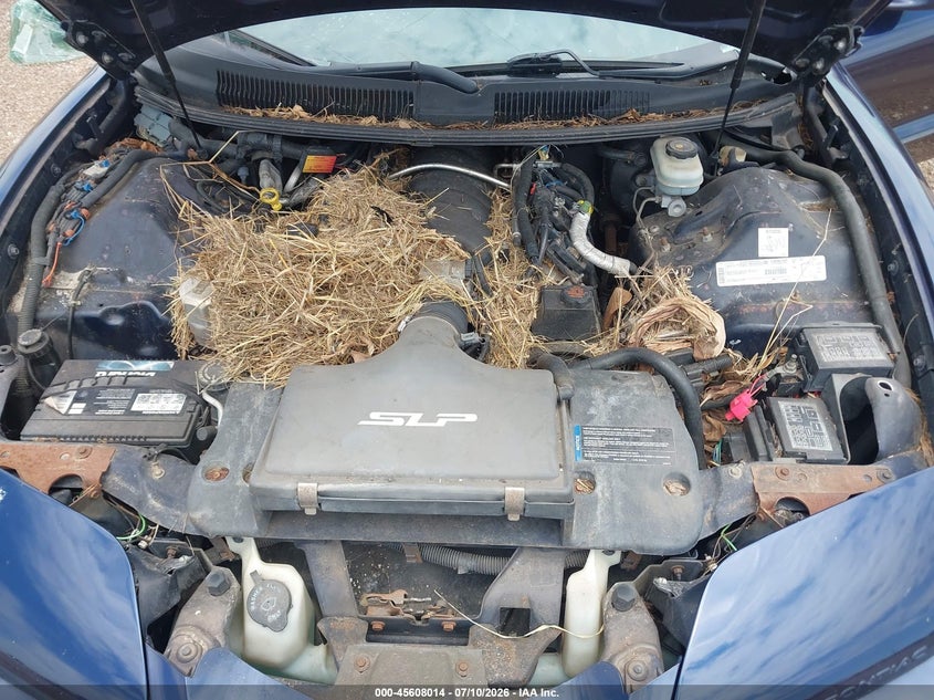 2000 Pontiac Firebird Trans Am VIN: 2G2FV22G1Y2137643 Lot: 45608014
