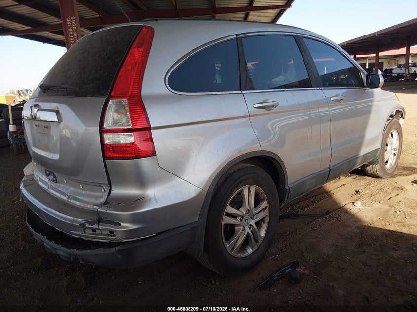 AtlanticExpress - Honda CR-V
