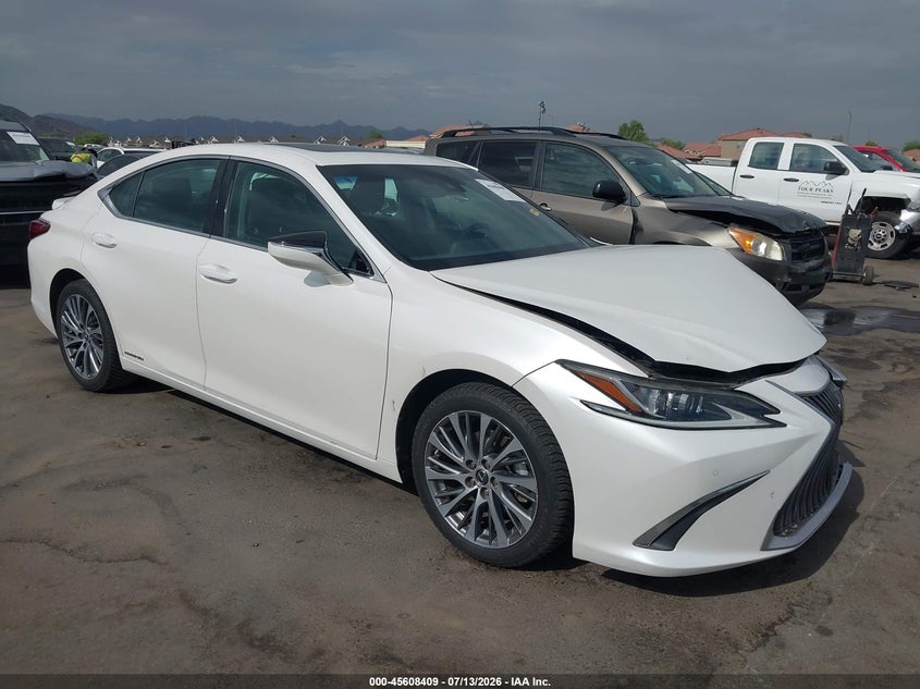 2019 Lexus ES — 2026-07-31