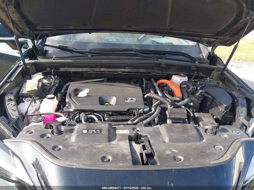 2024 Lexus Nx 350H Premium VIN: JTJGKCEZ5R5021683 Lot: 45608477