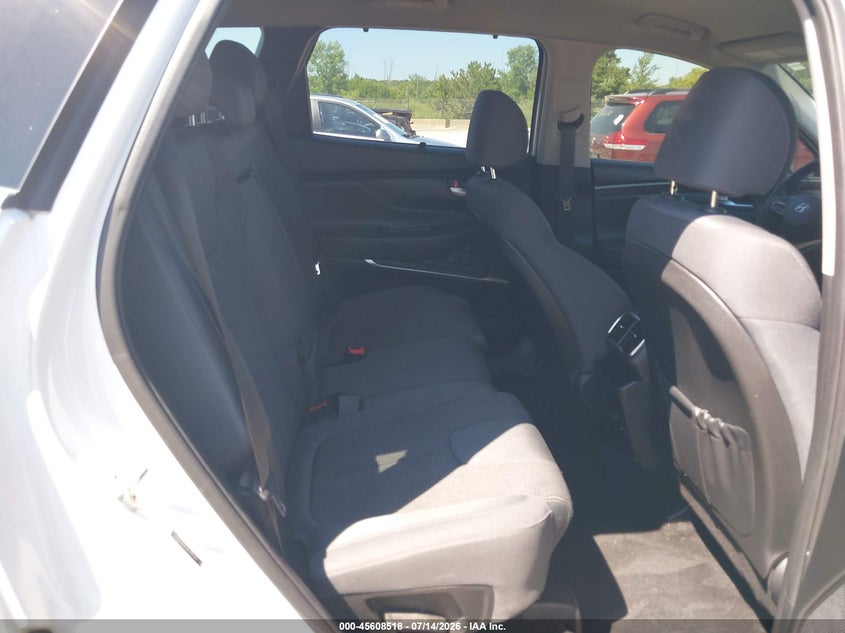 2020 Hyundai Santa Fe Sel VIN: 5NMS33AD8LH199399 Lot: 45608518