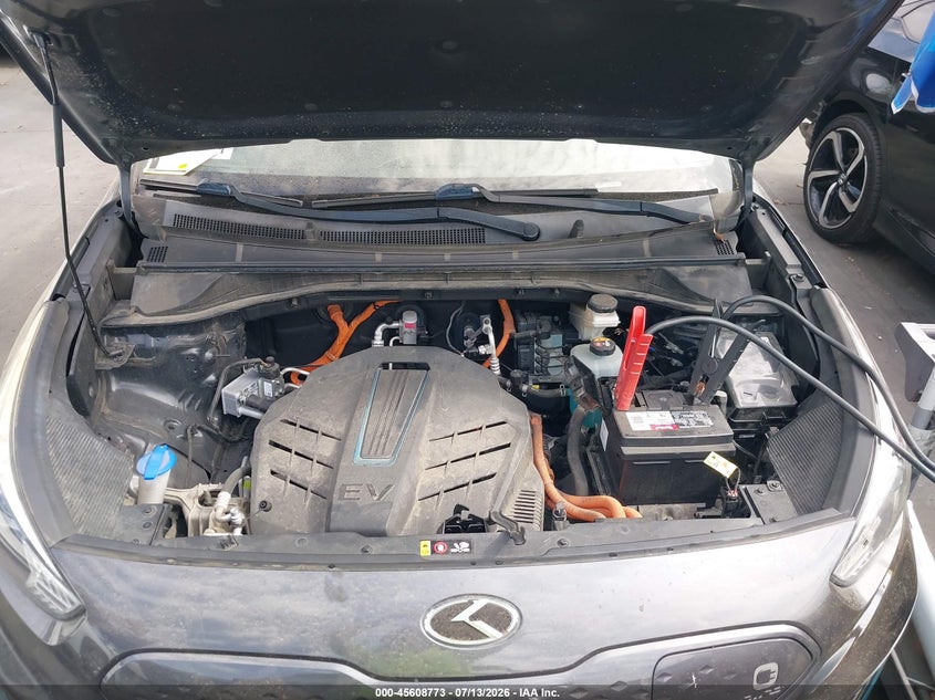 2020 Kia Niro Ev Ex Premium VIN: KNDCE3LG5L5064101 Lot: 45608773