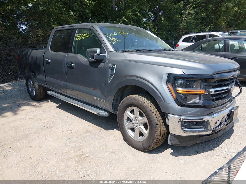 2024 FORD F-150 XLT