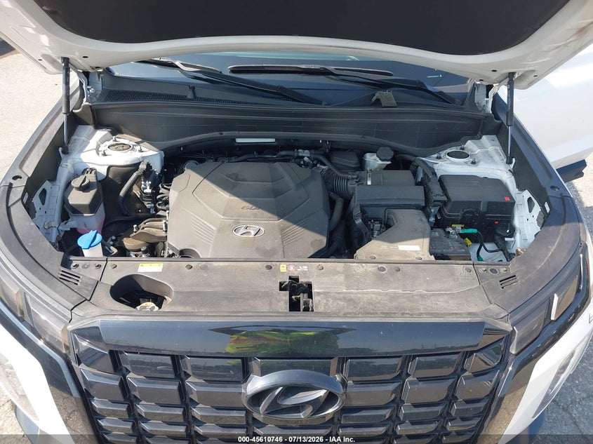 2025 Hyundai Palisade Xrt VIN: KM8R3DGEXSU837319 Lot: 45610746