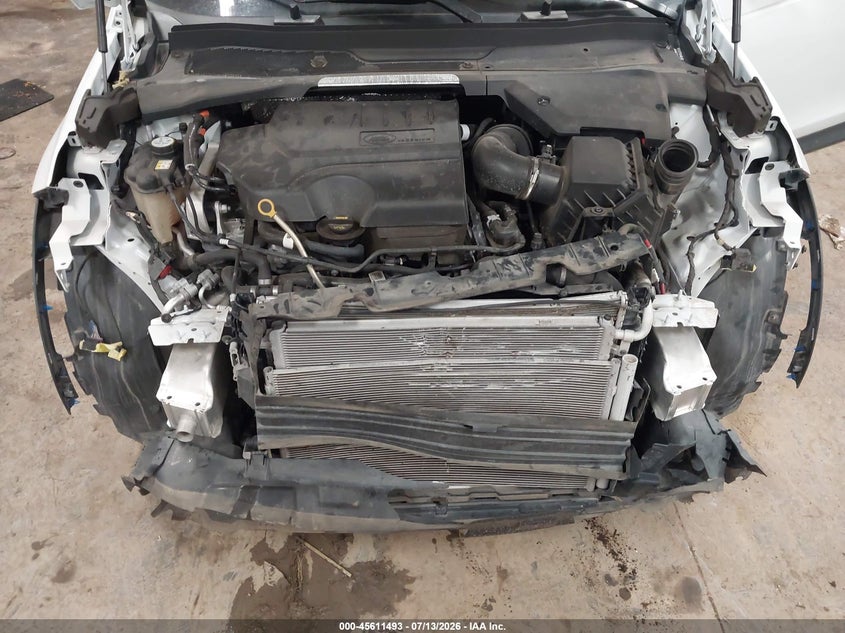 2021 Land Rover Discovery Sport S VIN: SALCJ2FXXMH899346 Lot: 45611493