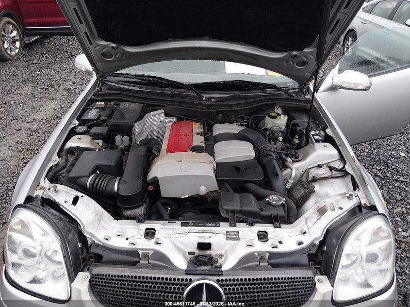 2004 Mercedes-Benz Slk 230 Kompressor VIN: WDBKK49F84F298140 Lot: 45611746