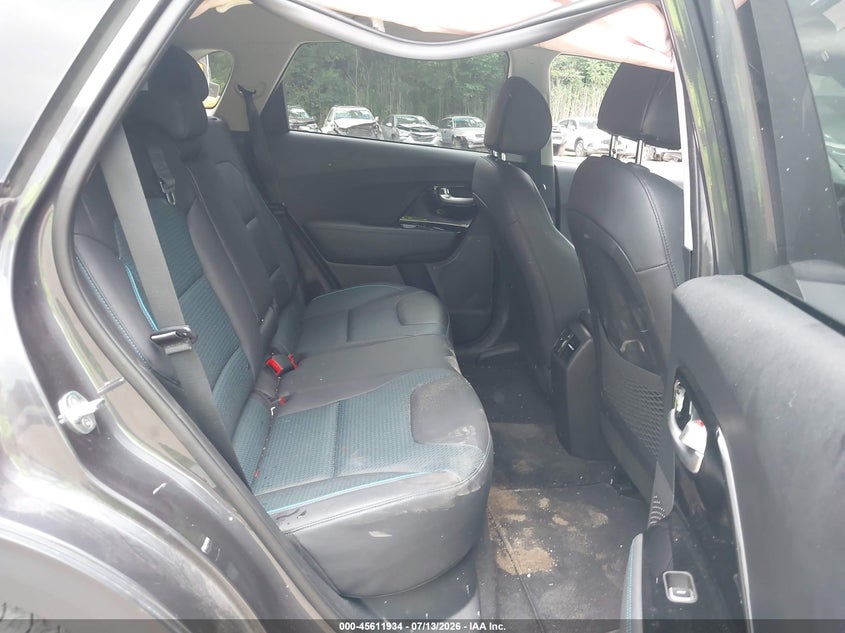2020 Kia Niro Ev Ex Premium VIN: KNDCE3LG4L5064042 Lot: 45611934