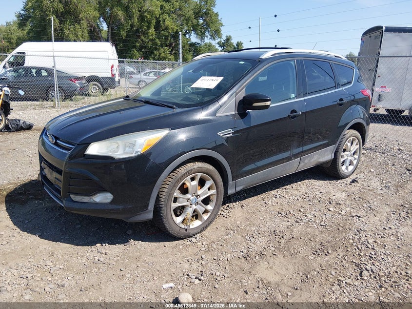 AtlanticExpress - Ford Escape
