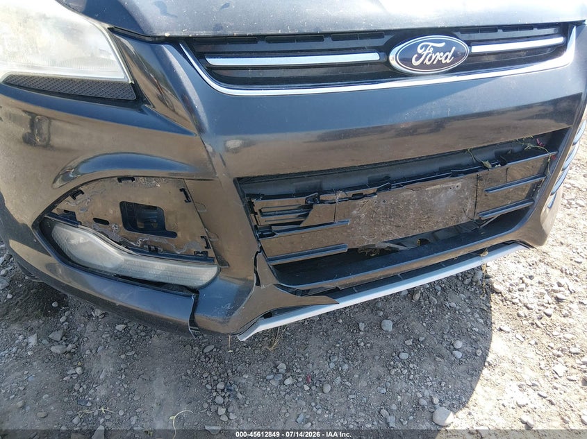 AtlanticExpress - Ford Escape