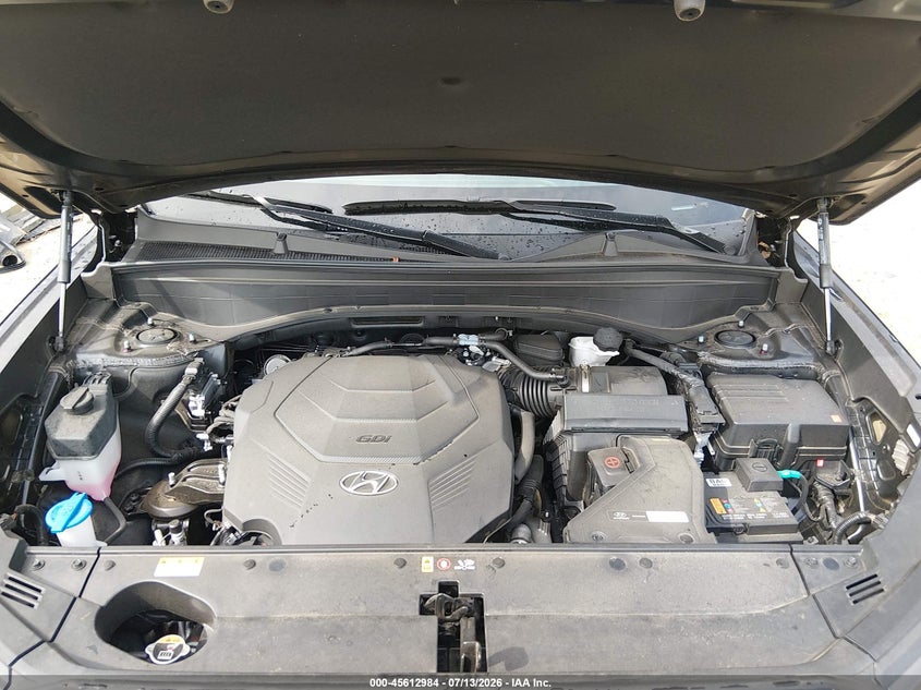 2025 Hyundai Palisade Xrt VIN: KM8R34GE5SU926232 Lot: 45612984