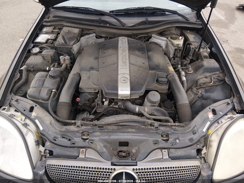 2002 Mercedes-Benz Slk 320 VIN: WDBKK65F32F247143 Lot: 45613186