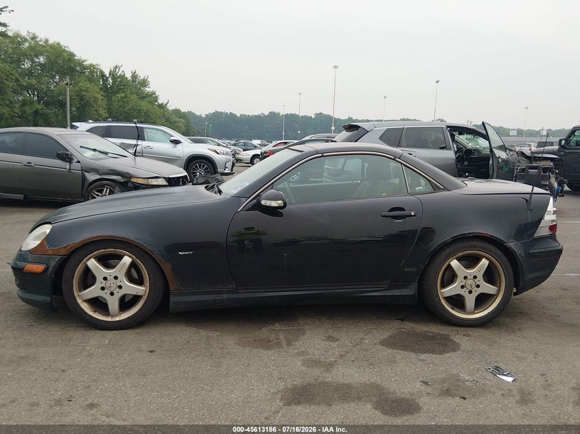 2002 Mercedes-Benz Slk 320 VIN: WDBKK65F32F247143 Lot: 45613186