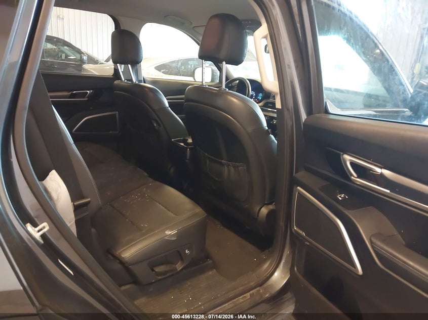 2020 Kia Telluride Lx VIN: 5XYP24HC1LG032937 Lot: 45613228