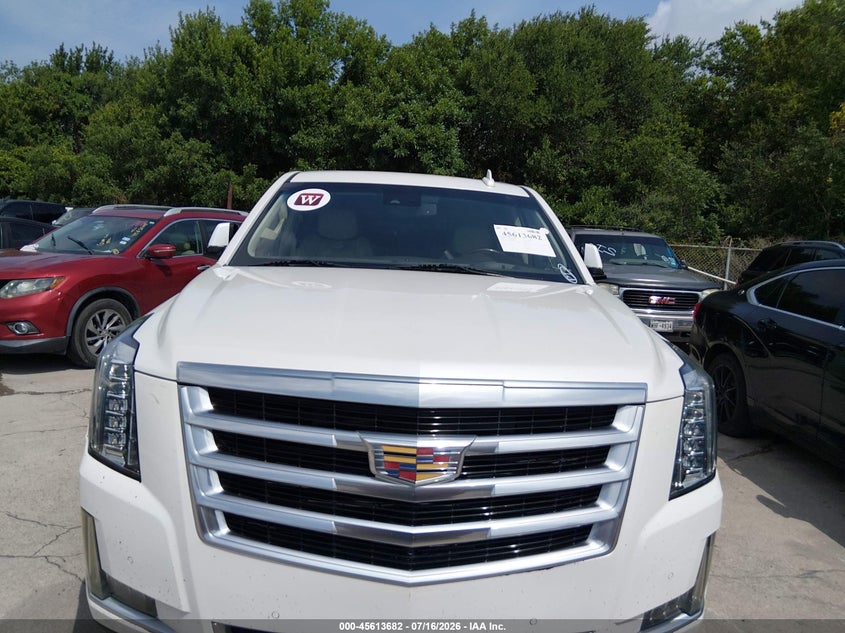 2016 Cadillac Escalade Luxury Collection VIN: 1GYS3BKJ4GR208013 Lot: 45613682