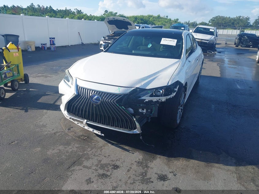 2019 Lexus Es 350 Luxury VIN: 58ABZ1B16KU029528 Lot: 45614036