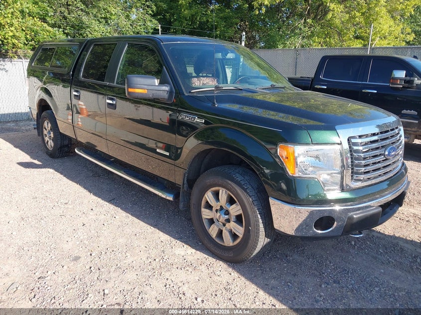 Vin: 1ftfw1et2cfd05213, lot: 46112679, ford f-150 xlt 2012 img_1