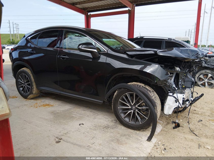 2025 Lexus Nx 250 VIN: 2T2ADCAZ9SC024437 Lot: 45614898
