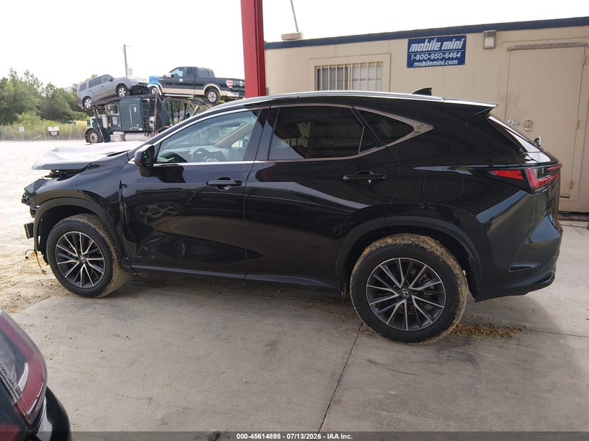 2025 Lexus Nx 250 VIN: 2T2ADCAZ9SC024437 Lot: 45614898