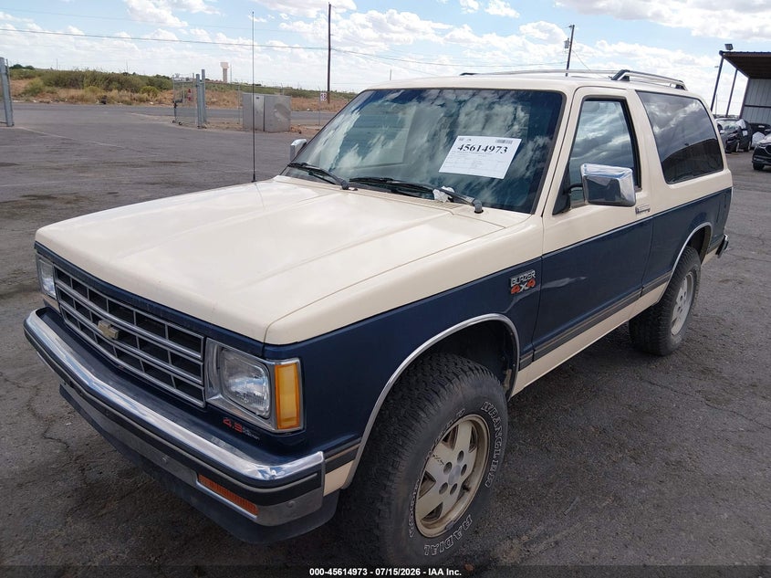 1989 Chevrolet Blazer S10 VIN: 1GNCT18Z3K8162956 Lot: 45614973