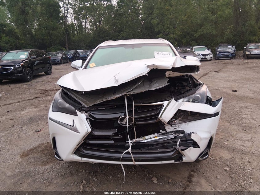 2017 Lexus Nx 200T VIN: JTJYARBZ4H2051367 Lot: 45615531