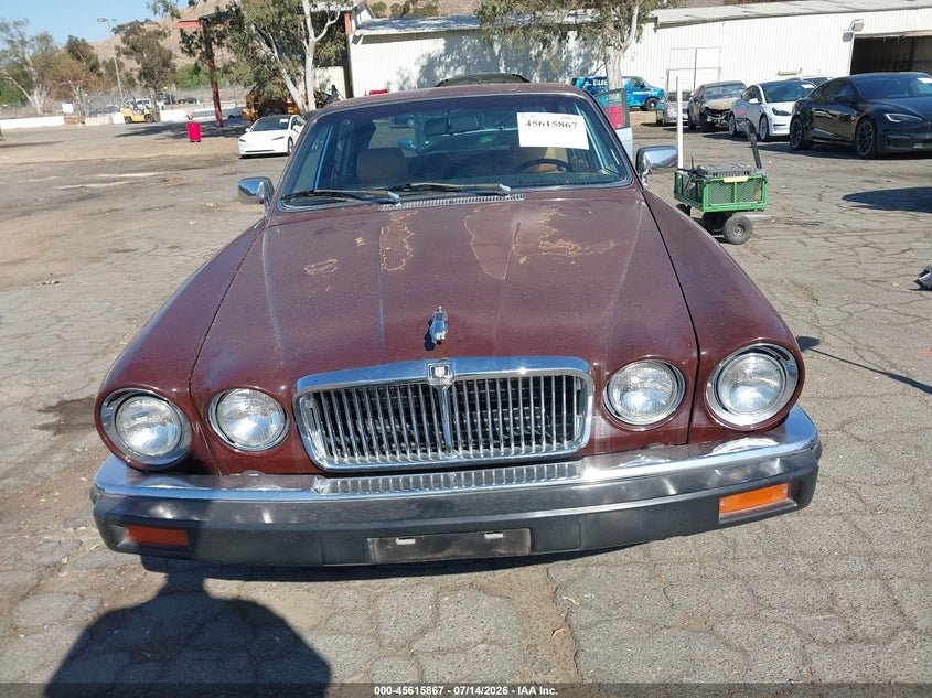 1984 Jaguar Xj6 VIN: SAJAV1342EC389788 Lot: 45615867