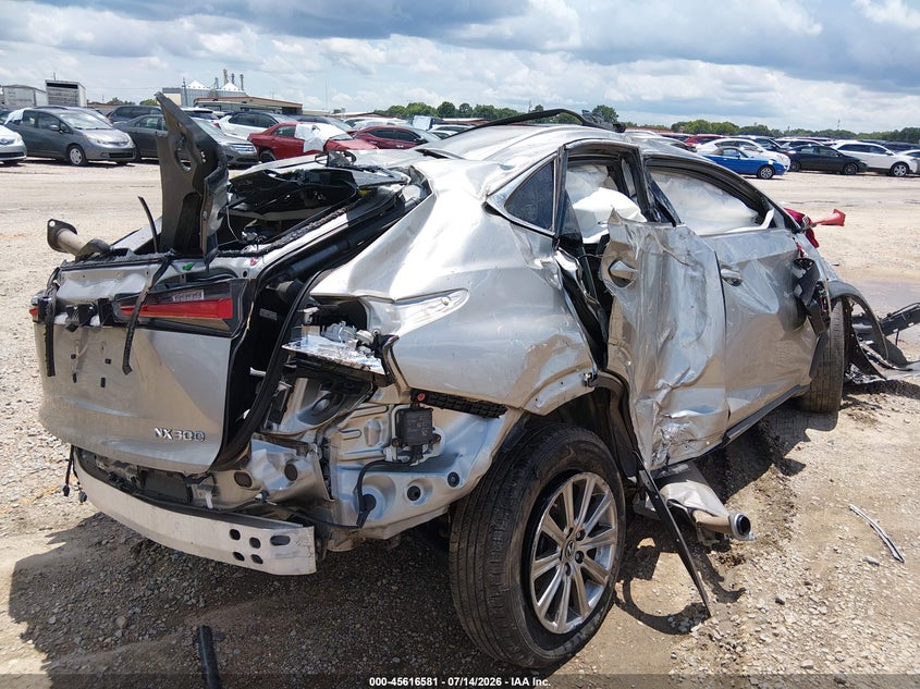 2021 Lexus Nx 300 VIN: JTJDARBZ3M2181097 Lot: 45616581