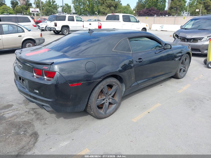 AtlanticExpress - Chevrolet Camaro