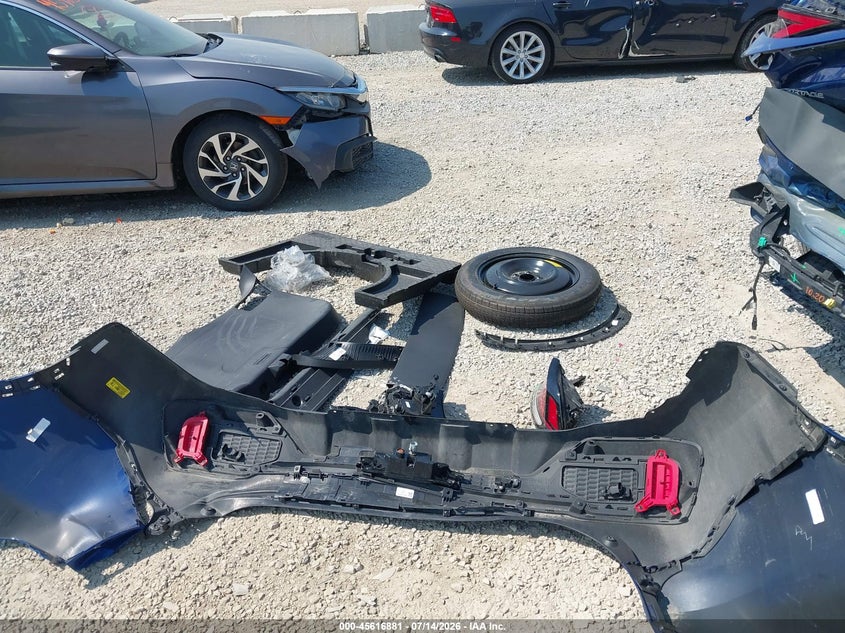 VIN 5XYK6CDF1RG167515 2024 KIA SPORTAGE X-LINE