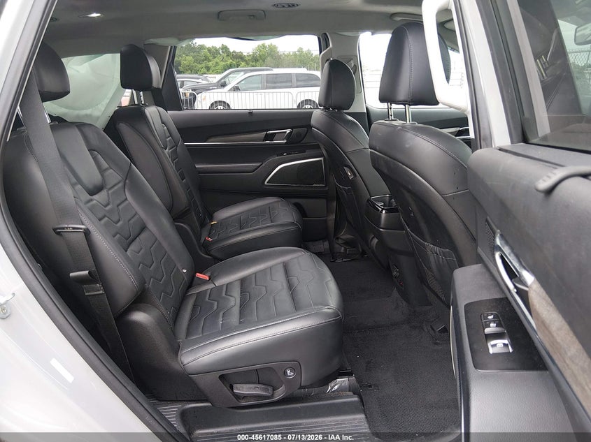 2021 Kia Telluride Sx VIN: 5XYP5DHC6MG149776 Lot: 45617085