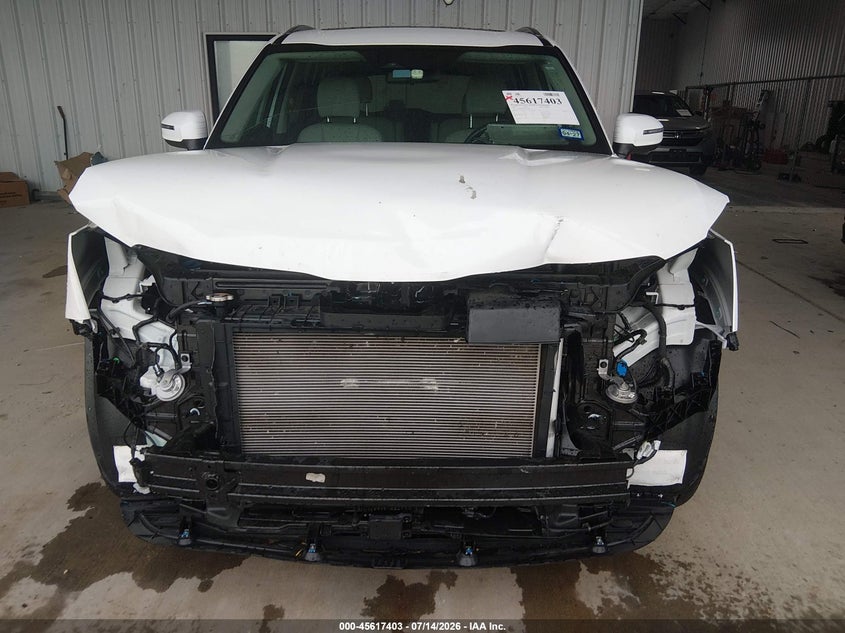 2025 Kia Telluride S VIN: 5XYP64GC2SG619961 Lot: 45617403