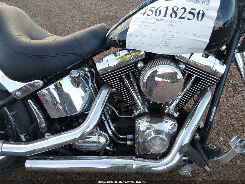 2009 Harley-Davidson Fxstc VIN: 1HD1JL5199Y047741 Lot: 45618250
