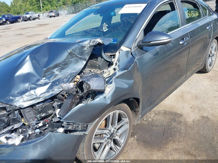 2019 Kia Forte Ex VIN: 3KPF54AD7KE028411 Lot: 45618686