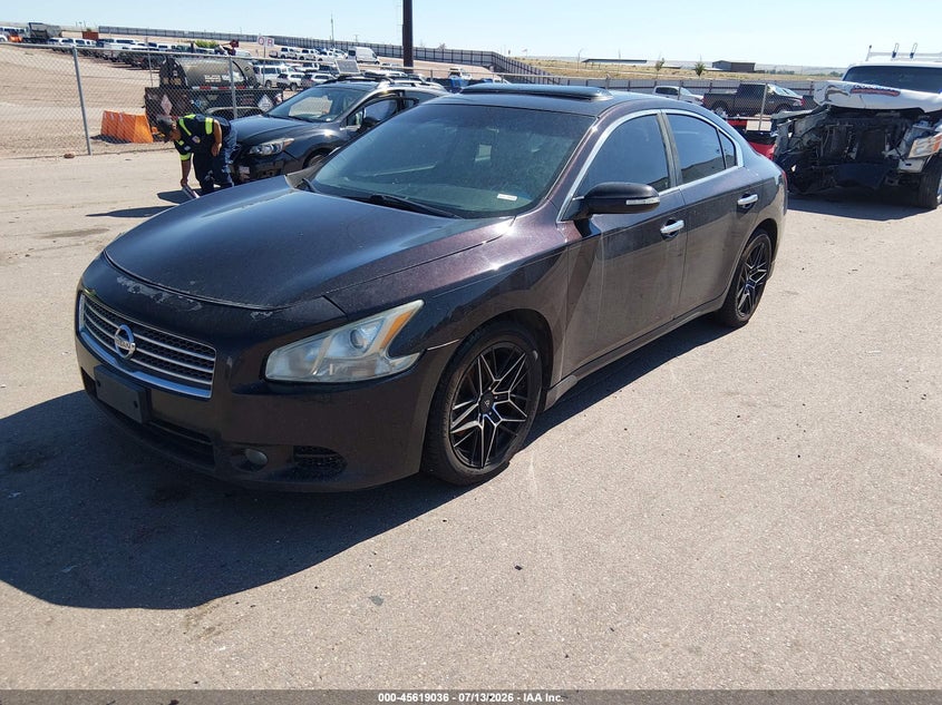 AtlanticExpress - Nissan Maxima
