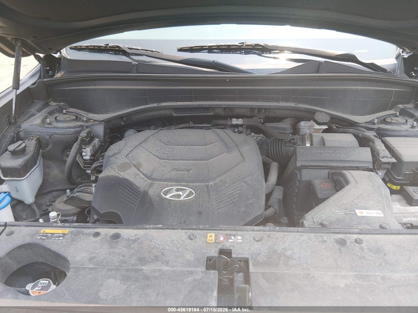 2020 Hyundai Palisade Sel VIN: KM8R4DHE5LU160564 Lot: 45619164