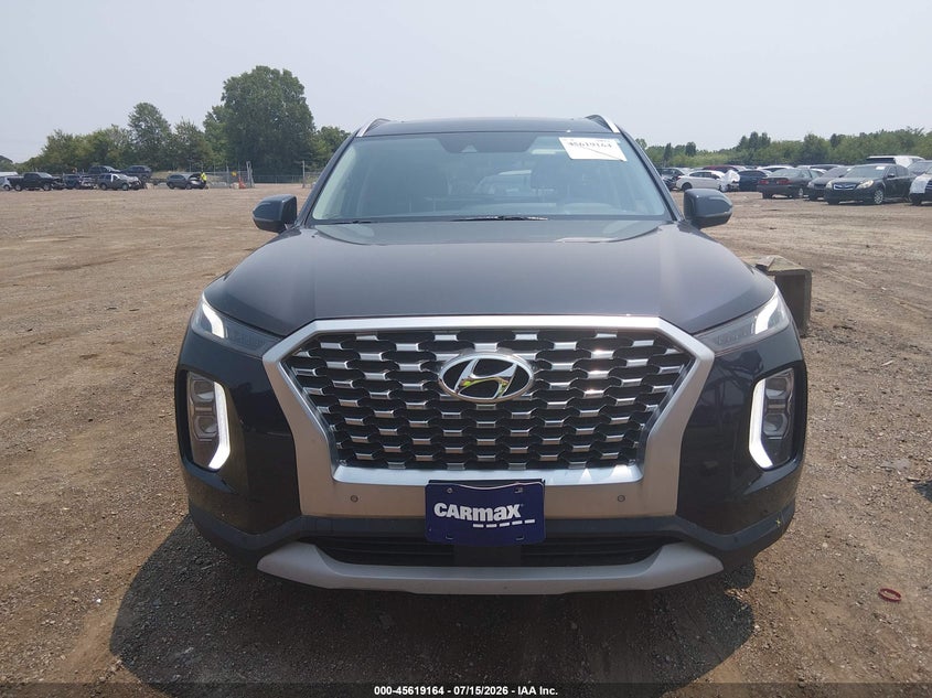 2020 Hyundai Palisade Sel VIN: KM8R4DHE5LU160564 Lot: 45619164