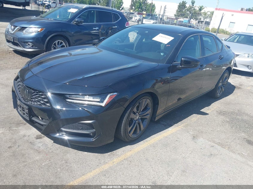  TLX