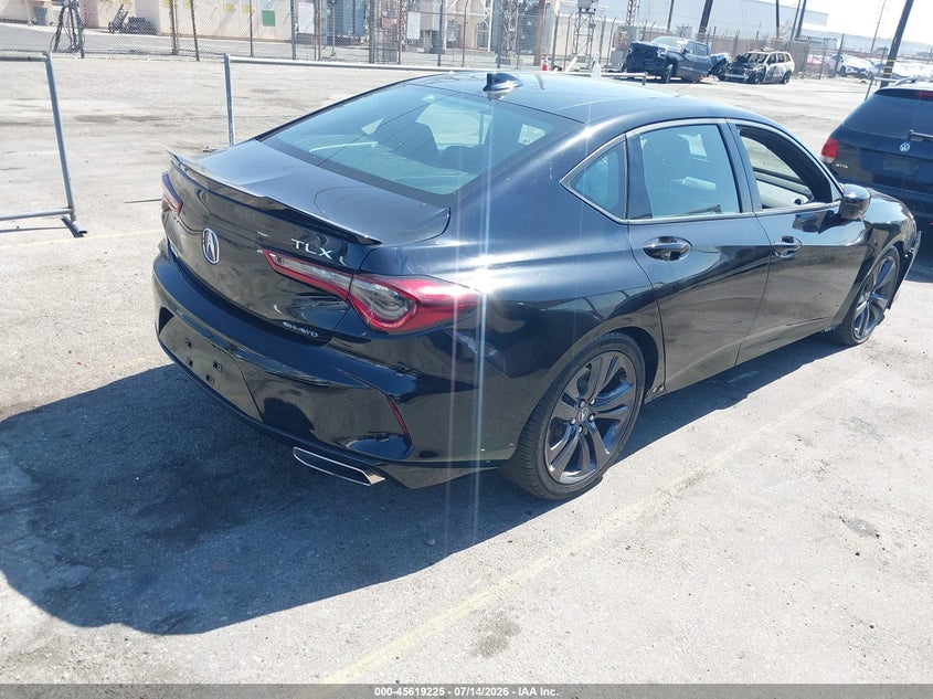  TLX