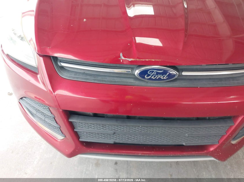 AtlanticExpress - Ford Escape