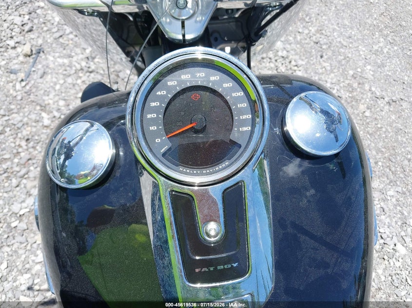 2021 Harley-Davidson Flfbs VIN: 1HD1YGK14MB043387 Lot: 45619536