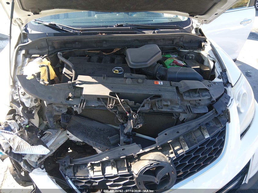 2010 Mazda Cx-9 Grand Touring VIN: JM3TB3MV5A0200377 Lot: 45620762