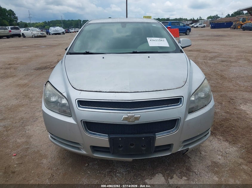 AtlanticExpress - Chevrolet Malibu