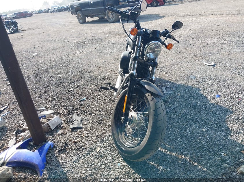 2013 Harley-Davidson Xl1200 Forty-Eight VIN: 1HD1LC312DC410366 Lot: 45623118